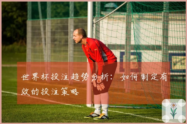 世界杯投注趋势分析：如何制定有效的投注策略
