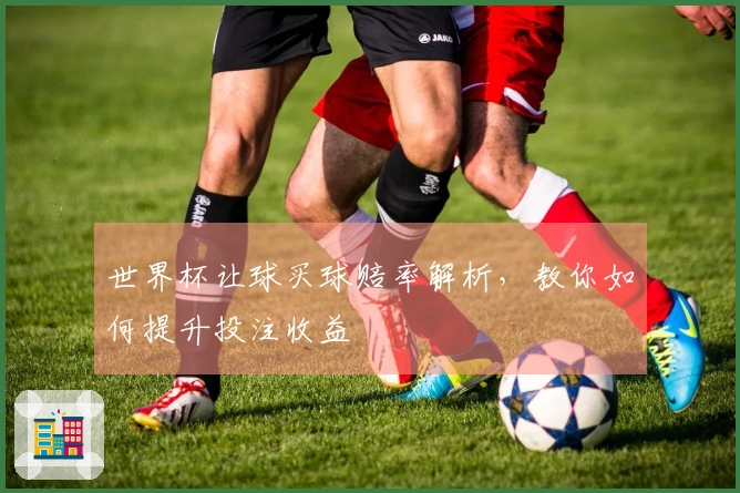 世界杯让球买球赔率解析，教你如何提升投注收益