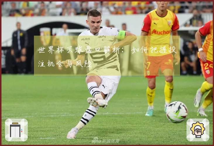 世界杯买球盘口解析：如何把握投注机会与风险