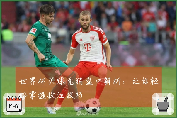 世界杯买球竞猜盘口解析，让你轻松掌握投注技巧