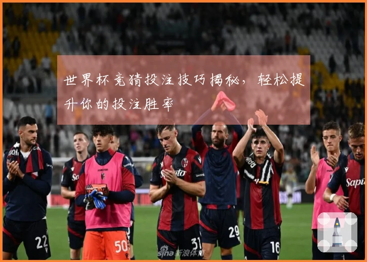 世界杯竞猜投注技巧揭秘，轻松提升你的投注胜率