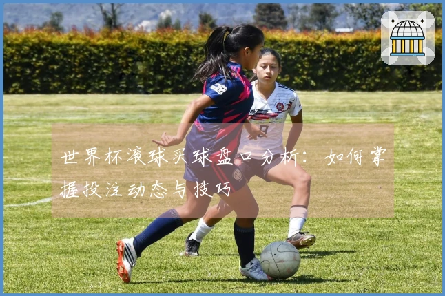 世界杯滚球买球盘口分析：如何掌握投注动态与技巧