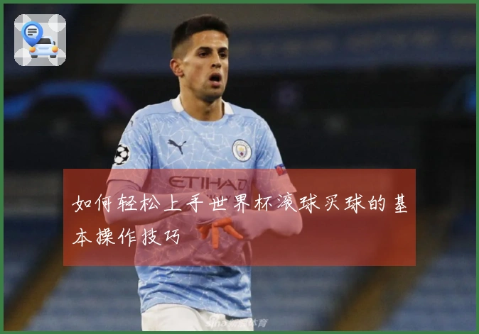 如何轻松上手世界杯滚球买球的基本操作技巧