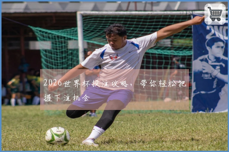 2026世界杯投注攻略，带你轻松把握下注机会