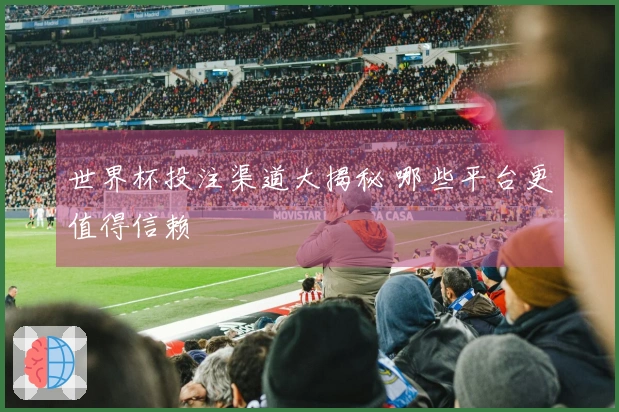 世界杯投注渠道大揭秘 哪些平台更值得信赖