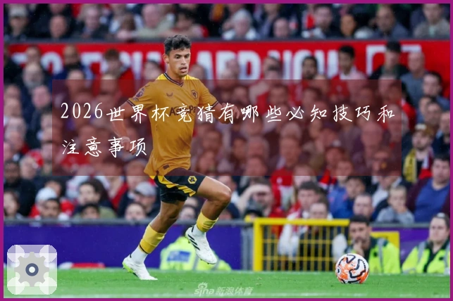 2026世界杯竞猜有哪些必知技巧和注意事项