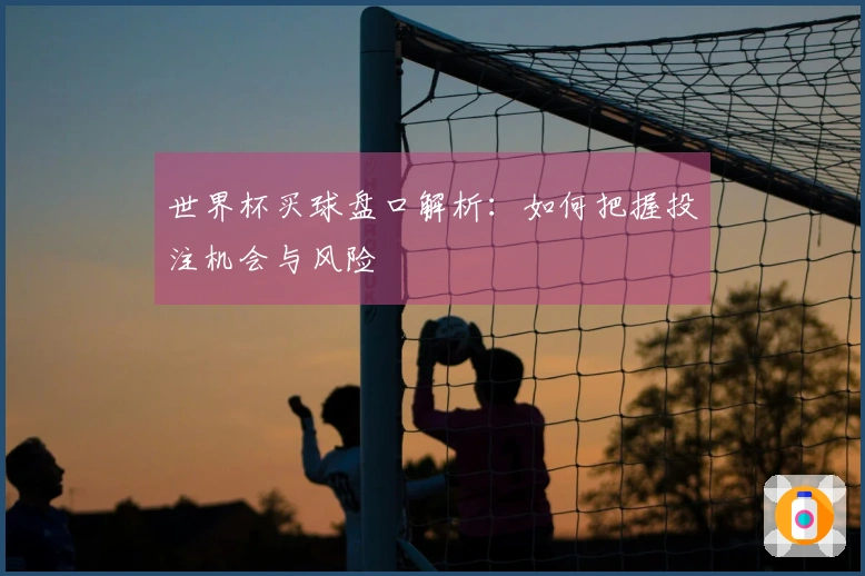 世界杯买球盘口解析：如何把握投注机会与风险