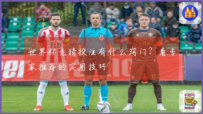 世界杯竞猜投注有什么窍门？看专家推荐的实用技巧