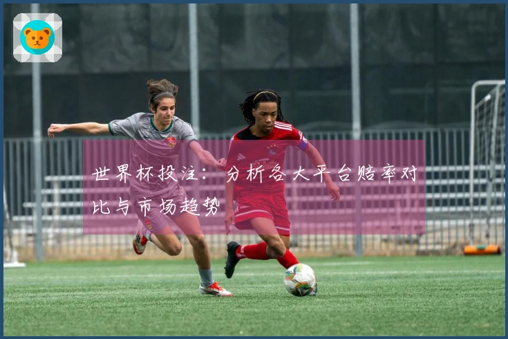 世界杯投注：分析各大平台赔率对比与市场趋势