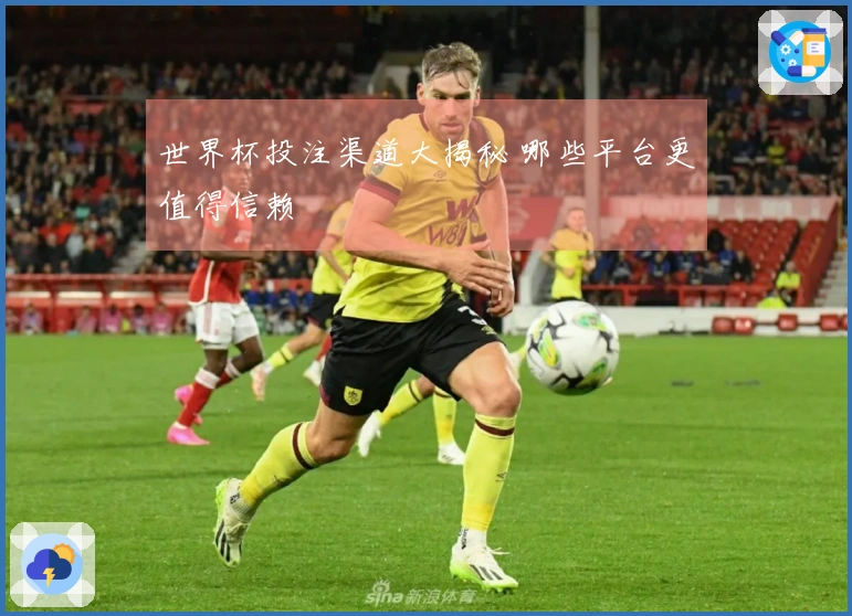 世界杯投注渠道大揭秘 哪些平台更值得信赖